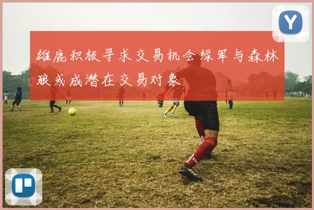 雄鹿积极寻求交易机会绿军与森林狼或成潜在交易对象